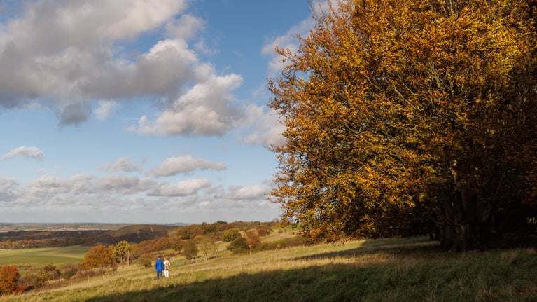 A couple walking at Dunstable Downs with autumnal colours in the trees